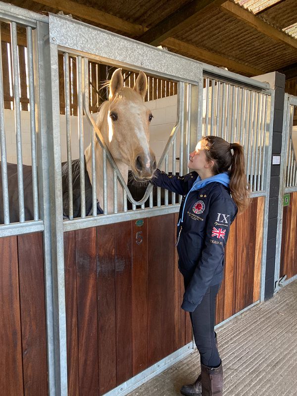 Horse at the yard