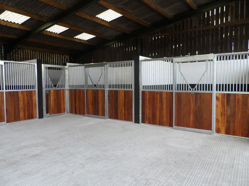 Days Farm Alpacas & Equine photo 12