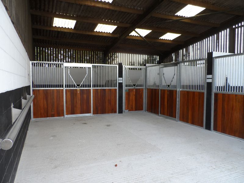 Days Farm Alpacas & Equine photo 13