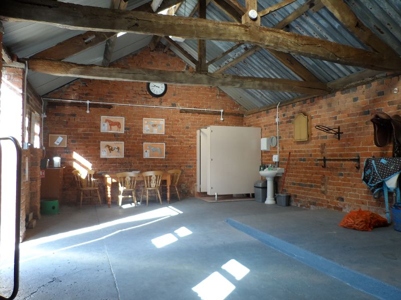 Days Farm Alpacas & Equine photo 14