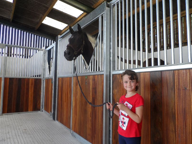 Days Farm Alpacas & Equine photo 17